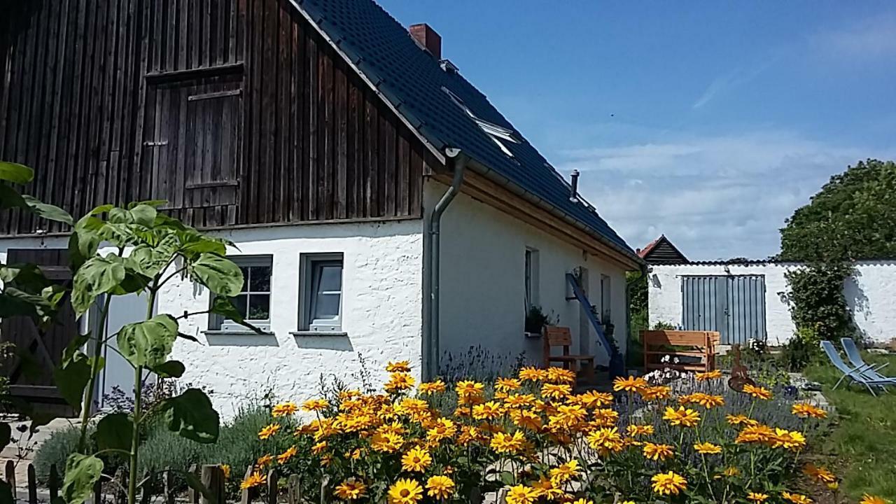 Zum Storchennest Otel Kemnitz  Dış mekan fotoğraf